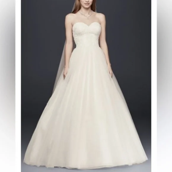 David’s Bridal Gown Wedding Dress Lace Corset Tulle Princess style size 2 ivory - Picture 6 of 16